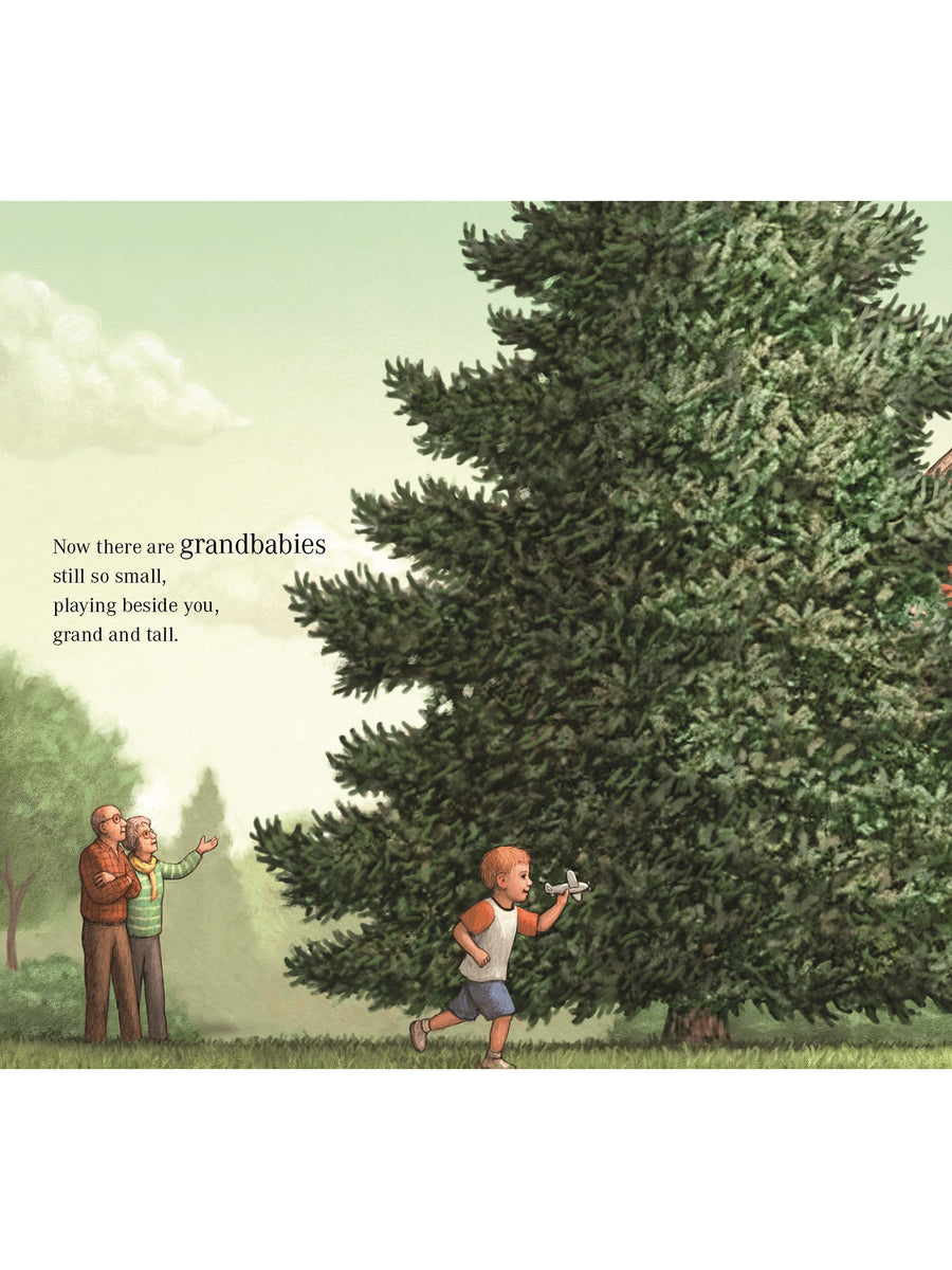 Holiday Picture Books Baby : Nursery : Books : Toys : Learning Sleeping Bear Press