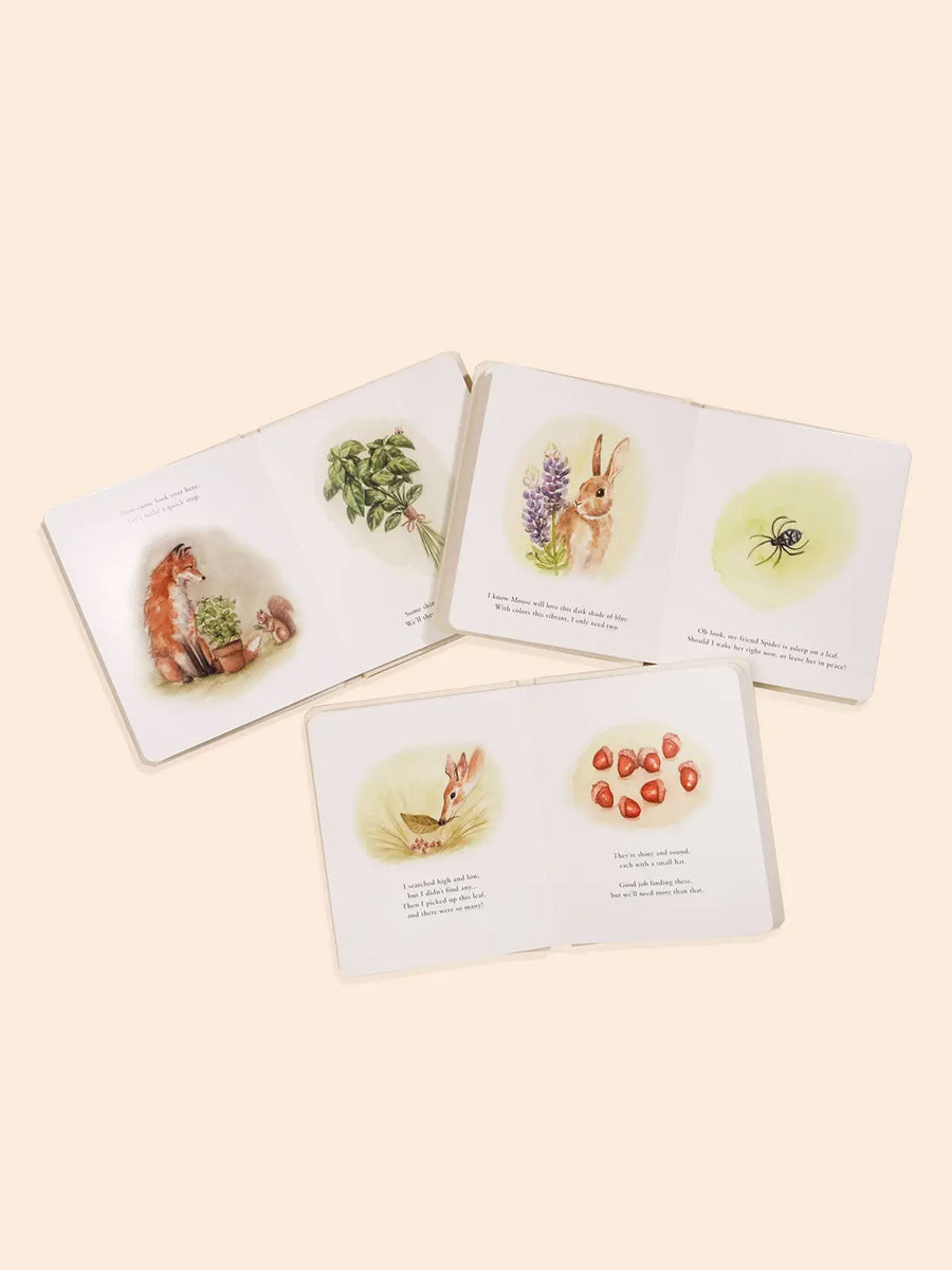 Our Little Adventures Book Box Set Baby-Kids : Nursery : Books : Toys : Learning Paige Tate & Co.