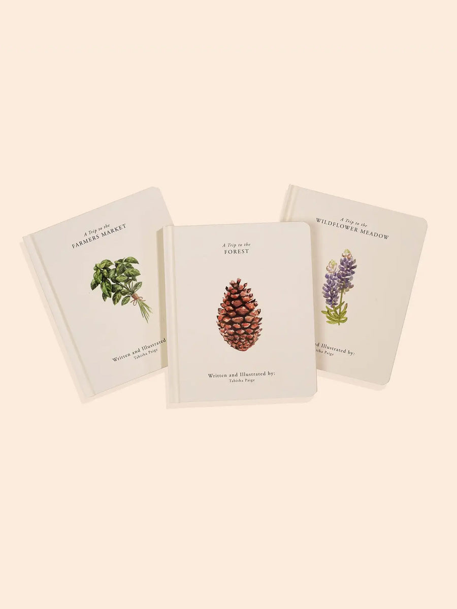 Our Little Adventures Book Box Set Baby-Kids : Nursery : Books : Toys : Learning Paige Tate & Co.